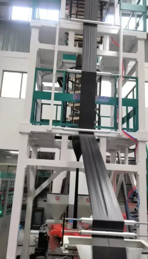 ���Ǵ�Ĥ�C